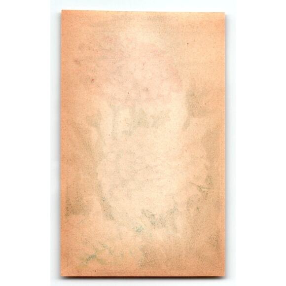 1920's Flower Art Print CHRYSANTHEME Lithograph Original Vintage For Seed Pack - Picture 2 of 2